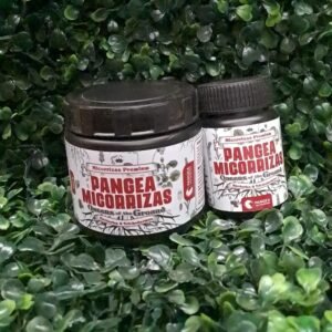 MICORRIZAS PREMIUM PANGEA - QUEEN OF THE GROUND (100gr) En Polvo