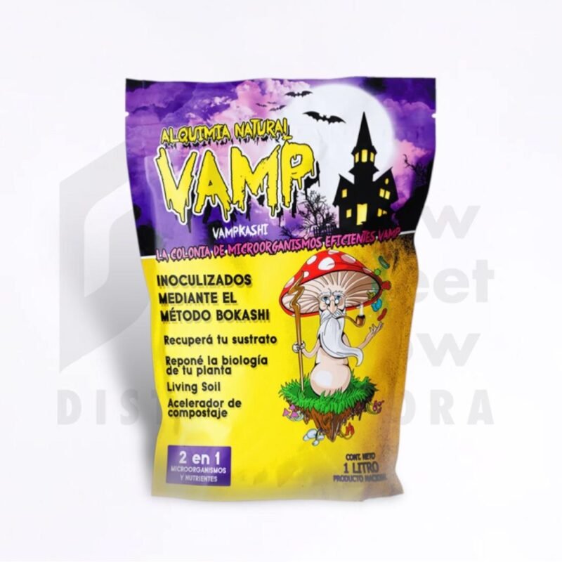 VAMP Kashi