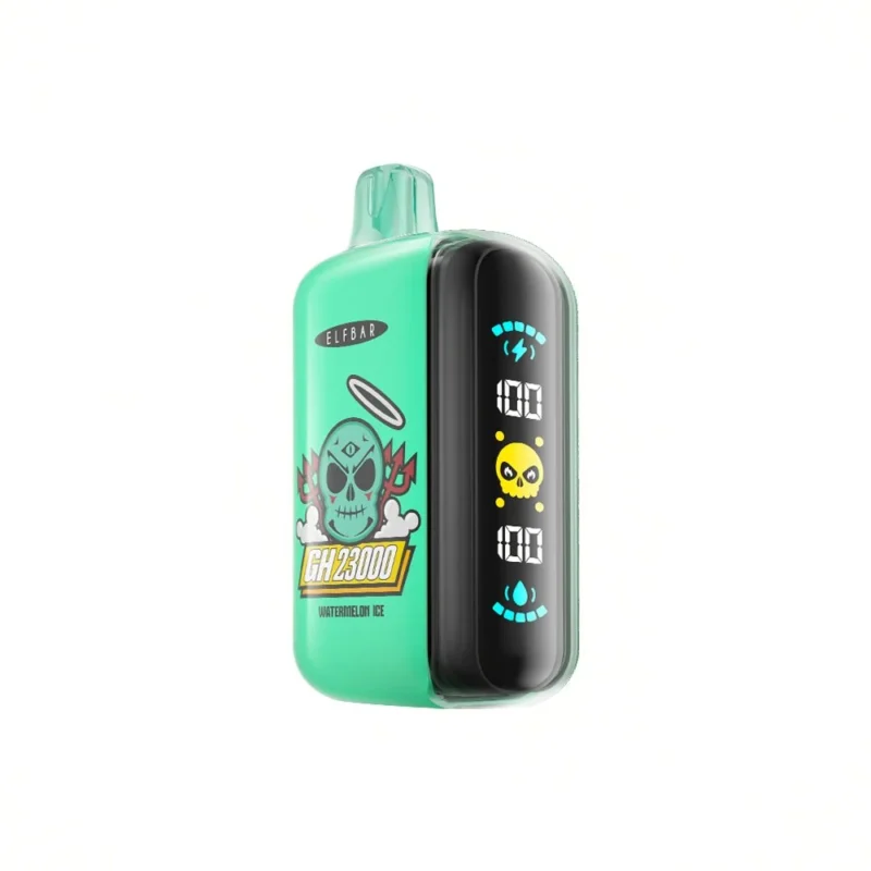 ELF BAR GH23000 - SPRING MINT 5% - RECARGABLE