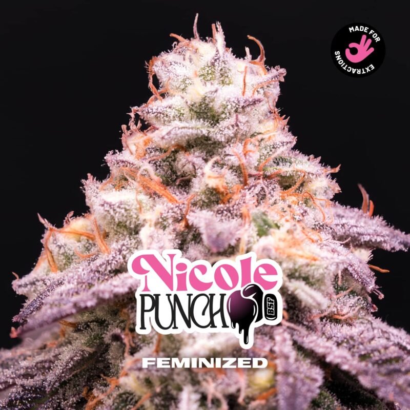 Semillas de COLECCION BSF - NICOLE PUNCH FEM x2