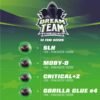 Semillas de COLECCION BSF - DREAM TEAM FEMINIZED MIX x12 - Imagen 2