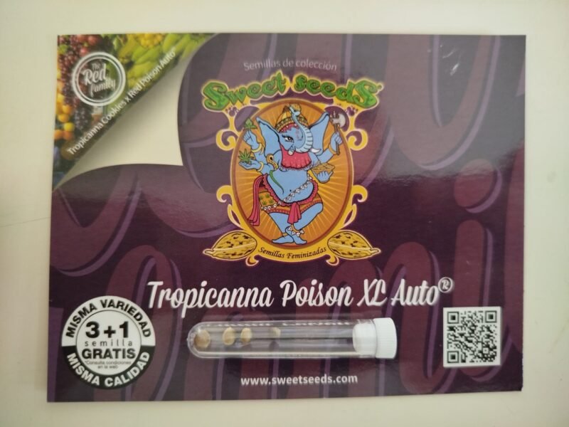 Semillas de COLECCION Sweet Seeds - tropicana poison XL auto 3+1