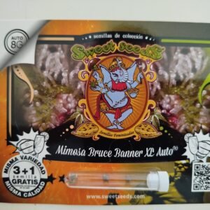 Semillas de COLECCION Sweet Seeds - mimosa bruce banner XL auto 3+1