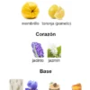 Perfume Mini Only You Chaveg Eau De Tendre 35ml - Imagen 4