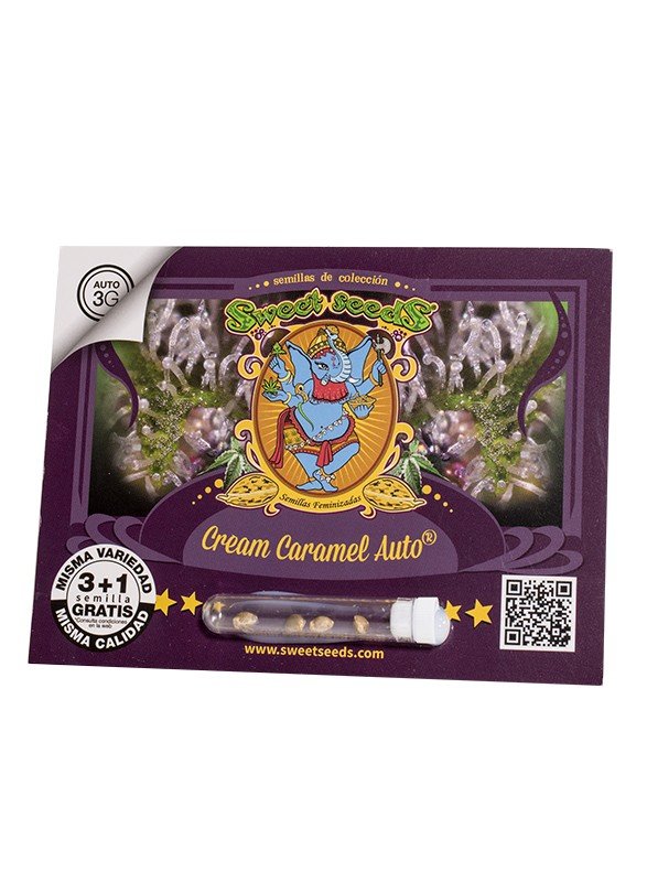 Semillas de COLECCION Sweet Seeds - Cream Caramel auto 3+1